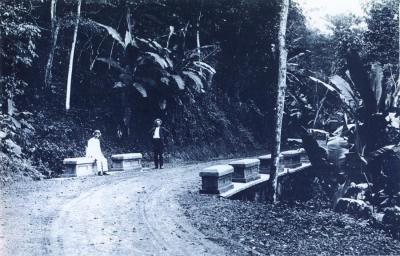 Miles de emigrados de Soller a Puerto Rico